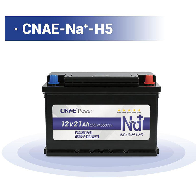 CNAE-Na<sup>+</sup>-H5
