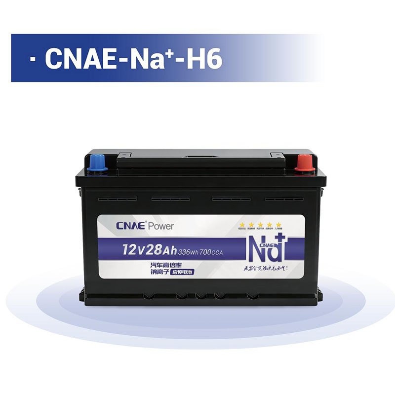 CNAE-Na<sup>+</sup>-H6